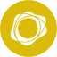 PAXG logo
