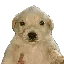 JOTCHUA logo