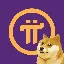 PIDOGE logo