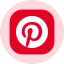 PINSon logo