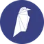 RVN logo