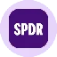 SPYon logo