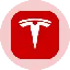 TSLAon logo