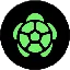 TURTLE logo