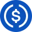 USDC logo